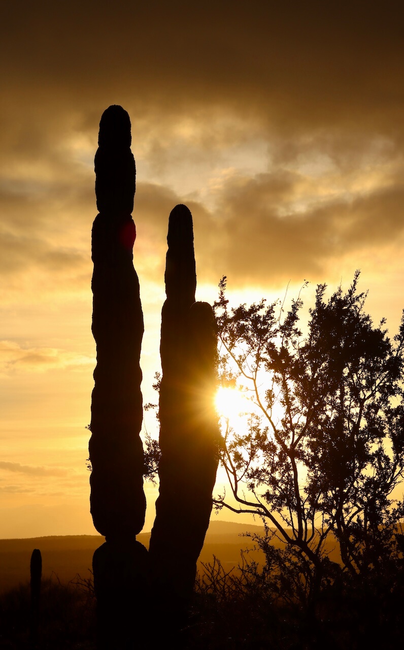 Welcome to Baja California Sur: On the Edge of Civilization